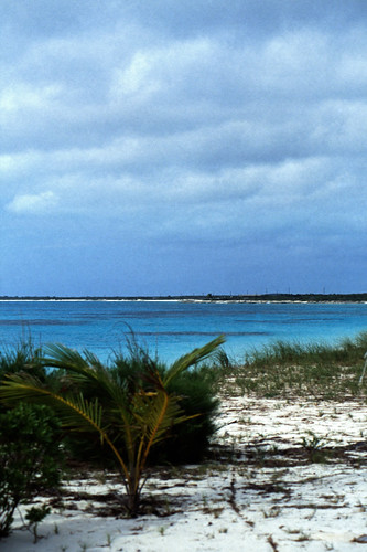 Bahamas 1989 (716) San Salvador • <a style="font-size:0.8em;" href="http://www.flickr.com/photos/69570948@N04/25980629372/" target="_blank">Auf Flickr ansehen</a>