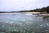 1 Yasawa-i-Rara, Fiji 2016 • <a style="font-size:0.8em;" href="http://www.flickr.com/photos/36838853@N03/25265636093/" target="_blank">View on Flickr</a>