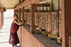 Giovani monaci