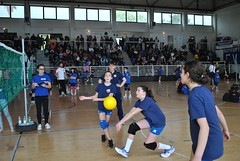 Torneo Celle Ligure 2016 - il pomeriggio • <a style="font-size:0.8em;" href="http://www.flickr.com/photos/69060814@N02/25913205674/" target="_blank">View on Flickr</a>
