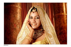 Bollywood Actress NISHA YADAV-HOT AND SEXY IMAGES-SET-2 (32)