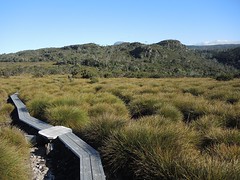 Overland Track Tasmania, Australia
