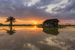Abandoned house with reflection during magical sunset at Sungai Sireh,Malaysia