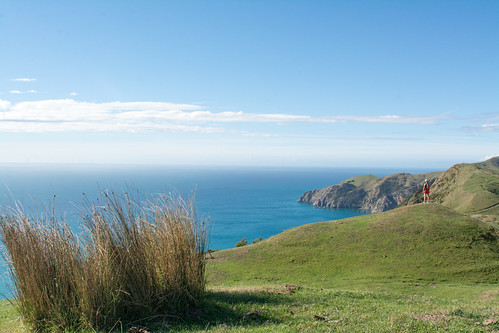 Cable Bay