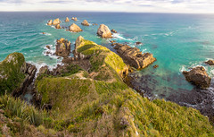 Nugget Point Southland