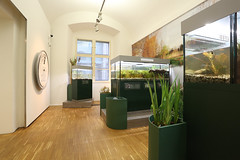 Kröten, Schlangen & Co @ Naturkundemuseum