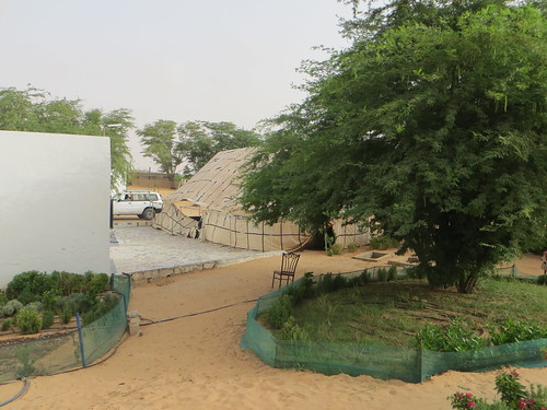 Ferme bio à Nouakchott
