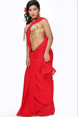 Bollywood Actress NISHA YADAV-HOT AND SEXY IMAGES-SET-3 (14)
