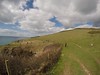 Swanage - Headbury 2016 • <a style="font-size:0.8em;" href="http://www.flickr.com/photos/117911472@N04/26612230991/" target="_blank">View on Flickr</a>
