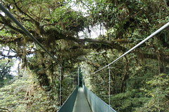 Monteverde, Costa Rica, January 2016