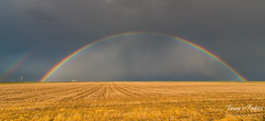 Rainbow on the plains. Colby, Kansas.