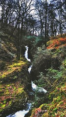 ... Poulanass Waterfall ~ Glendalough ...