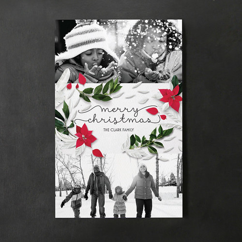 Holiday Finalist — Vista Print, Poinsettia & Paper Holiday Card