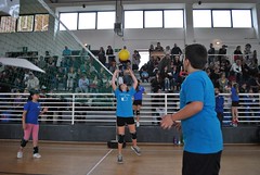 Torneo Celle Ligure 2016 - il pomeriggio • <a style="font-size:0.8em;" href="http://www.flickr.com/photos/69060814@N02/26425824562/" target="_blank">View on Flickr</a>