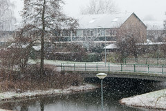 Snow in Lelystad