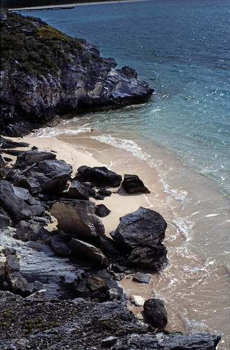 Bahamas 1989 (688) San Salvador • <a style="font-size:0.8em;" href="http://www.flickr.com/photos/69570948@N04/25911565415/" target="_blank">Auf Flickr ansehen</a>