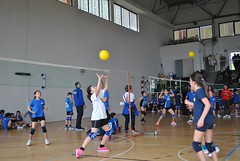 Torneo Celle Ligure 2016 - il pomeriggio • <a style="font-size:0.8em;" href="http://www.flickr.com/photos/69060814@N02/25913200914/" target="_blank">View on Flickr</a>