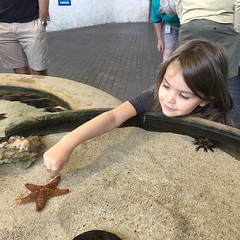 Go share your own pics! #motemarinelab