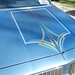 Gio's  Cutlass • <a style="font-size:0.8em;" href="http://www.flickr.com/photos/63407156@N00/26187520442/" target="_blank">View on Flickr</a>