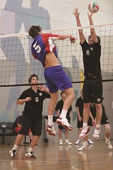 Sports - Volleyball (2)