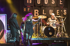 Art of Decay plays the Houes of Blues Anaheim.