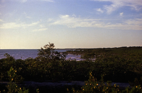 Bahamas 1989 (557) Great Exuma • <a style="font-size:0.8em;" href="http://www.flickr.com/photos/69570948@N04/25291633062/" target="_blank">Auf Flickr ansehen</a>