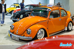 VW Club Fest 2016 • <a style="font-size:0.8em;" href="http://www.flickr.com/photos/54523206@N03/25452165783/" target="_blank">View on Flickr</a>