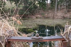 Pfäfers - Extinguishing water pond