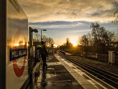 Morning at Mill Hill East Station