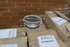 The unloading of humanitarian aid from Vinnytsia / Разгрузка гум. помощи из Винницы (14)