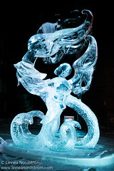Ice Art - Fairies