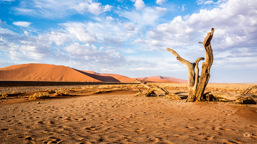 Sossusvlei Namibia Desert 4K Wallpaper / Desktop Background - a photo on  Flickriver