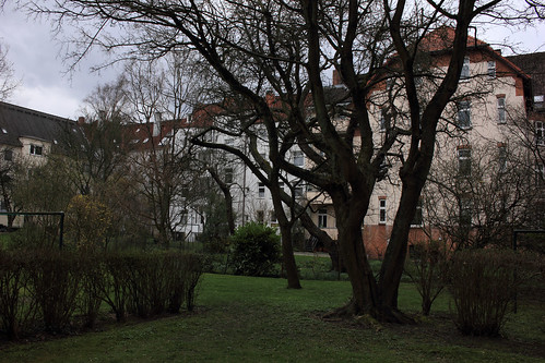 Garten im Hinterhof • <a style="font-size:0.8em;" href="http://www.flickr.com/photos/69570948@N04/26255064471/" target="_blank">Auf Flickr ansehen</a>