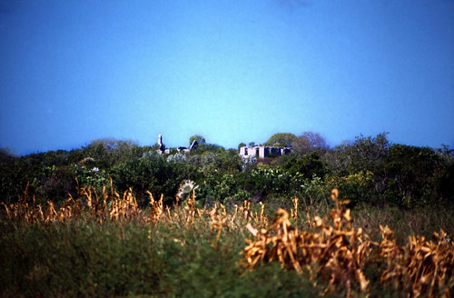 Bahamas 1989 (743) Long Island: Adderley's Plantation • <a style="font-size:0.8em;" href="http://www.flickr.com/photos/69570948@N04/26138385846/" target="_blank">Auf Flickr ansehen</a>