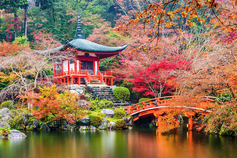 Kyoto: Japan's cultural capital | Asia Pacific Travel Beat