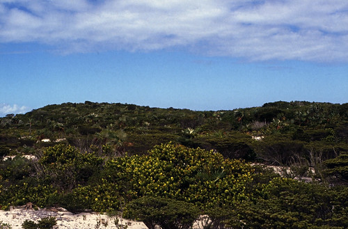 Bahamas 1989 (577) Great Exuma: Stocking Island • <a style="font-size:0.8em;" href="http://www.flickr.com/photos/69570948@N04/24934269213/" target="_blank">Auf Flickr ansehen</a>