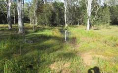 Kangaroo Creek Road, Coutts Crossing NSW
