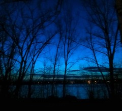 Blue hour near the riviere des prairies #mtlmoments #montreal_gallery #blueskyday #blue #bluehours #landscapes #paysages #montréal #treescollection #trees #exclusive_trees
