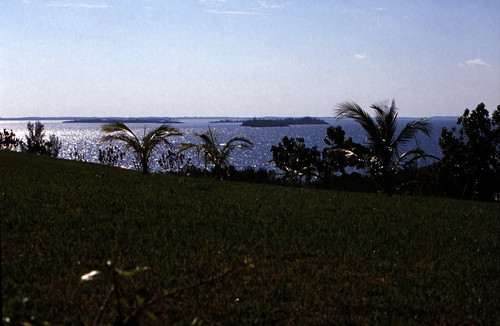 Bahamas 1989 (369) Eleuthera • <a style="font-size:0.8em;" href="http://www.flickr.com/photos/69570948@N04/24121977580/" target="_blank">Auf Flickr ansehen</a>