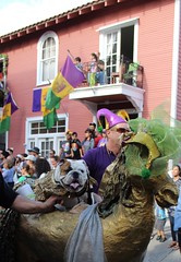 Krewe of Barkus parade 2016