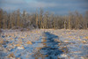 Icy Tributary • <a style="font-size:0.8em;" href="http://www.flickr.com/photos/65051383@N05/25946706782/" target="_blank">View on Flickr</a>