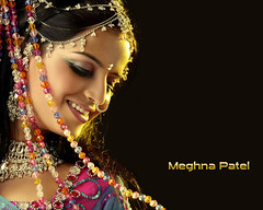 Bollywood Actress Meghna Patel Photos Set-4-HOT PHOTOS (47)