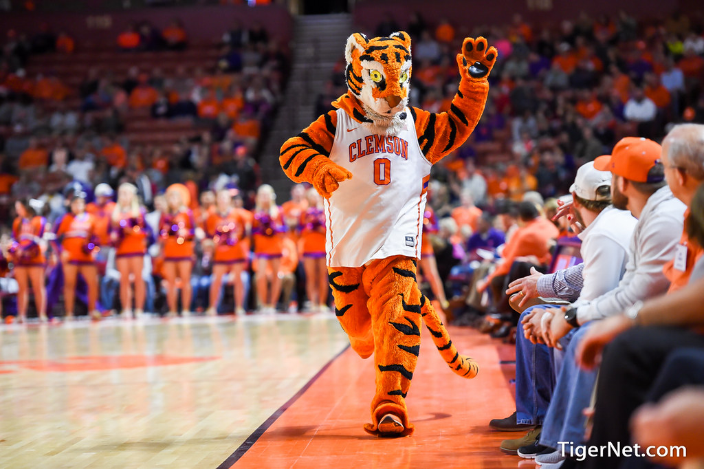 Clemson Basketball Photo of The Tiger