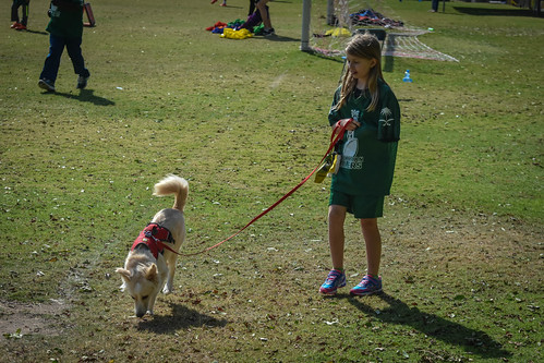 Nora walking Suki at a flag football game. • <a style="font-size:0.8em;" href="http://www.flickr.com/photos/96277117@N00/25517568412/" target="_blank">View on Flickr</a>