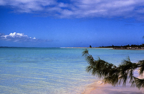 Bahamas 1989 (578) Great Exuma: Stocking Island • <a style="font-size:0.8em;" href="http://www.flickr.com/photos/69570948@N04/25442575642/" target="_blank">Auf Flickr ansehen</a>