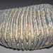 Rastellum carinatum fossil oyster (Upper Cretaceous; Marovoay, Madagascar) 5