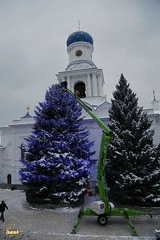 The Adornment of the Christmas Tree / Украшение рождественской ели (4)
