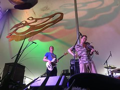 T-Bois Festival, 2016 - Lost Bayou Ramblers