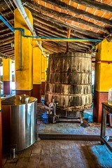 After being pressed, the agave juice is boiled in large vats.