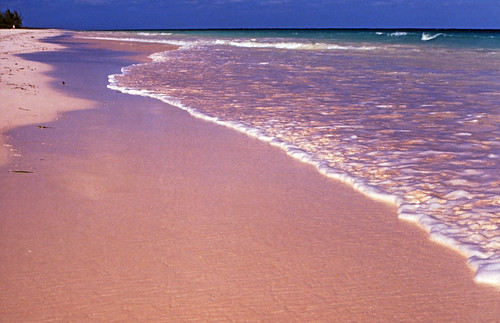 Bahamas 1989 (348) Eleuthera:  Pink Sand, Harbour Island • <a style="font-size:0.8em;" href="http://www.flickr.com/photos/69570948@N04/24358829015/" target="_blank">Auf Flickr ansehen</a>